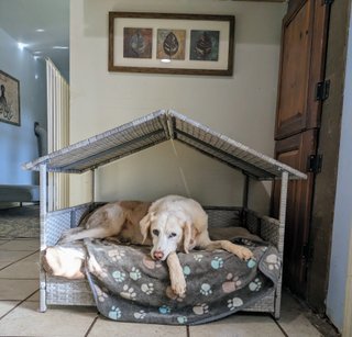 Lots of beds to choose from