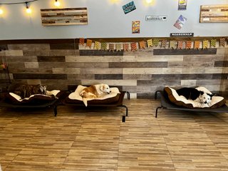 Boardwalk Elevated Cots