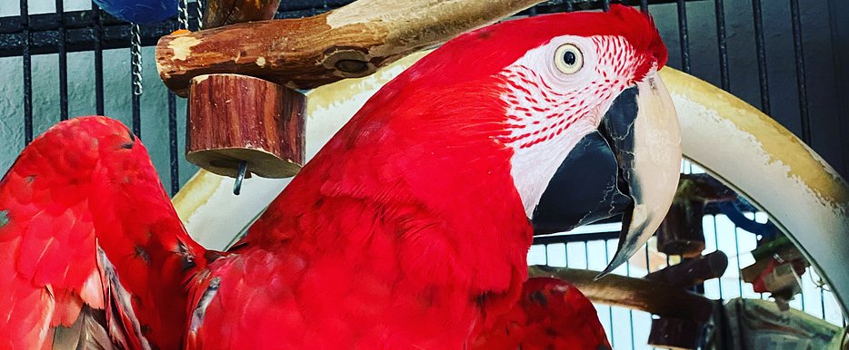 E2437C25-878F-453A-AC0F-E3EACAE20993