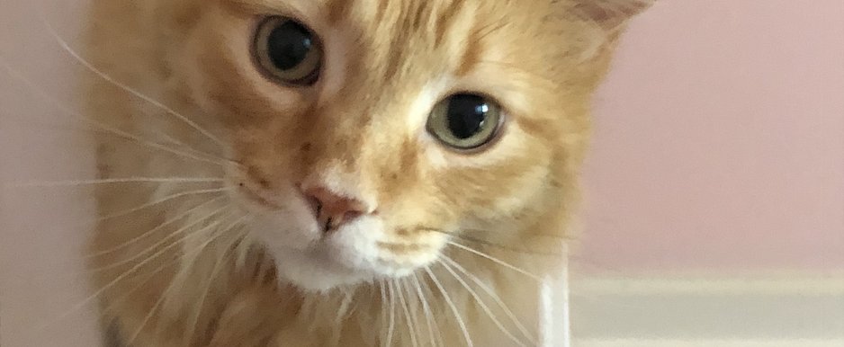 n12d43YUTFeVVmT8LfuQ3g